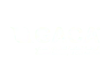 6.1